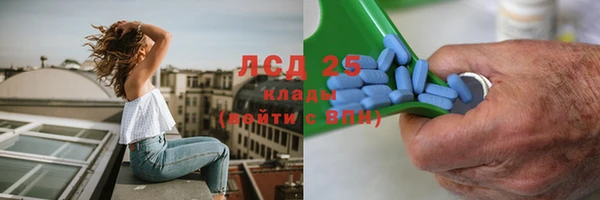 ПСИЛОЦИБИНОВЫЕ ГРИБЫ Покров