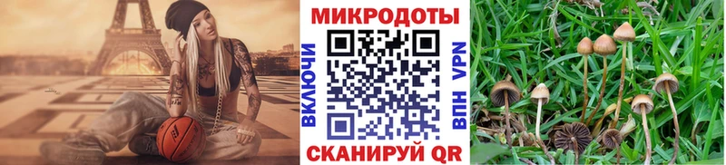 Галлюциногенные грибы мицелий  Купить закладки  Юрюзань 
